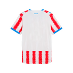Paraguay 26 Home Replica Jersey