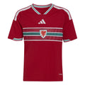 Wales 2026 Home Jersey - Youth