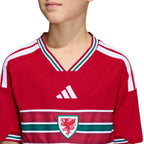 Wales 2026 Home Jersey - Youth